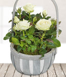 White Rose Basket